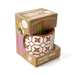 Boutique Garden Starter Kit - Desert Rose Cactus
