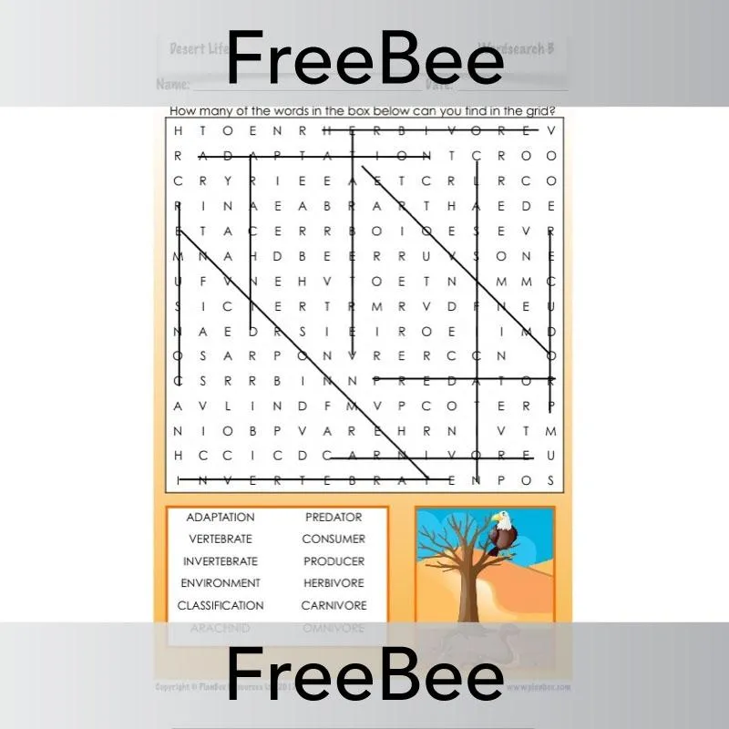 Desert Life Word Search