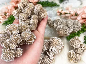 Desert Rose Selenite