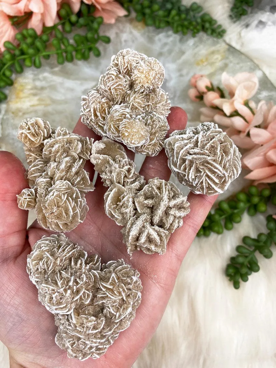Desert Rose Selenite