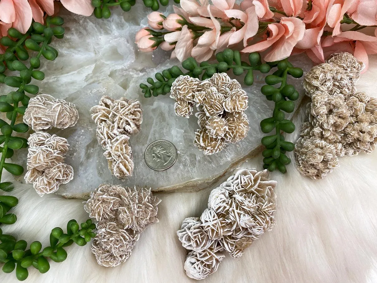 Desert Rose Selenite