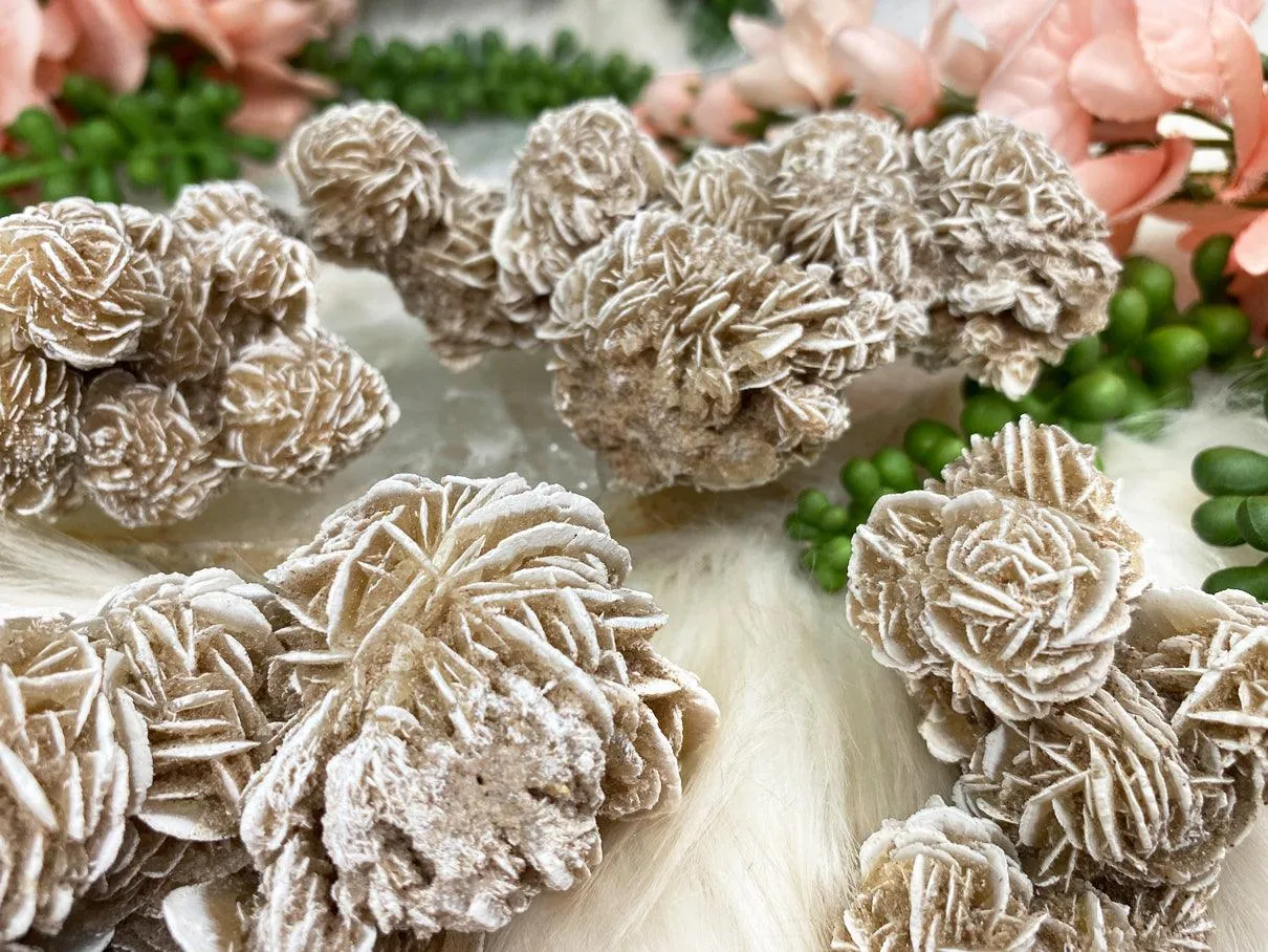 Desert Rose Selenite