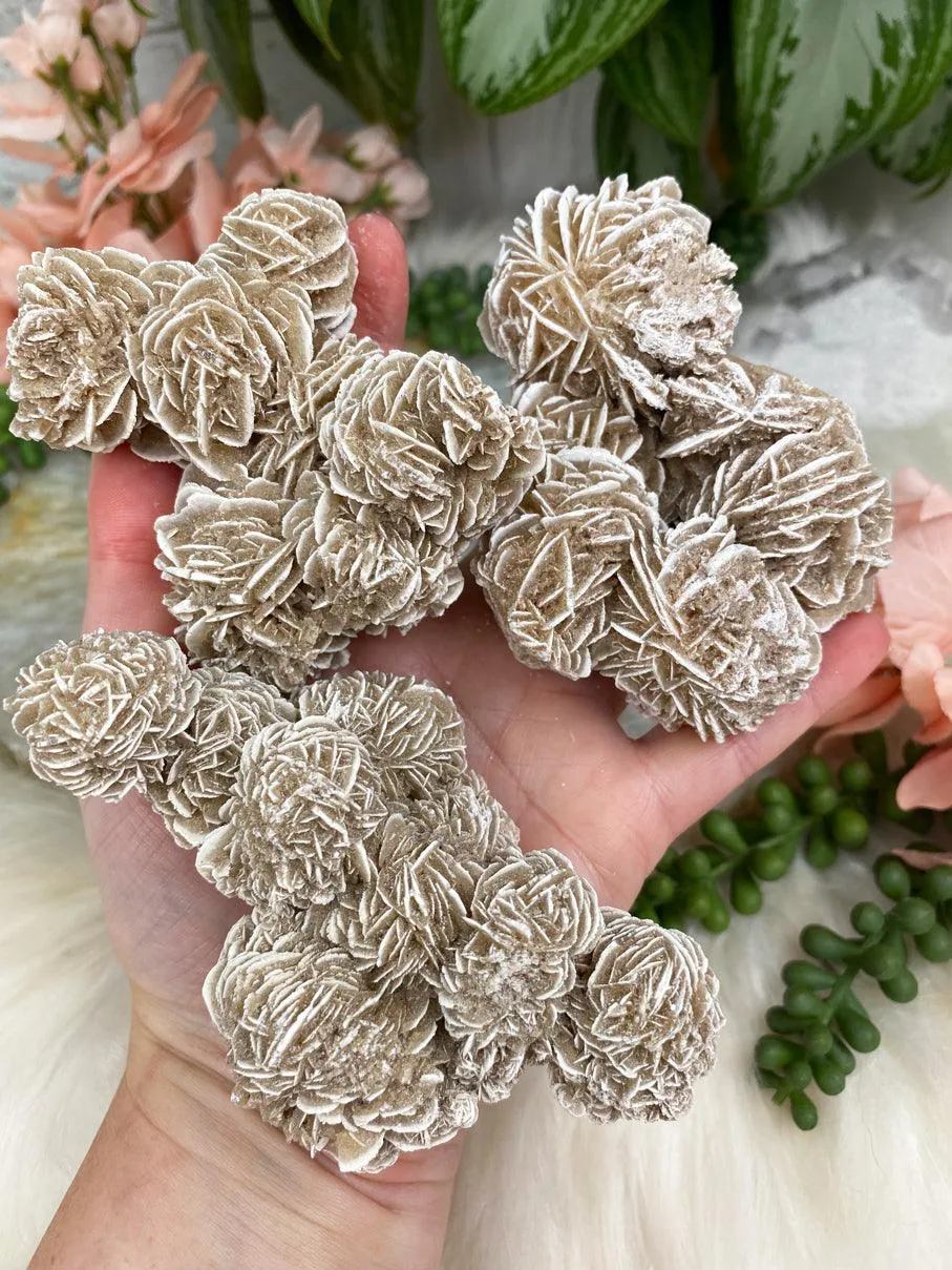 Desert Rose Selenite