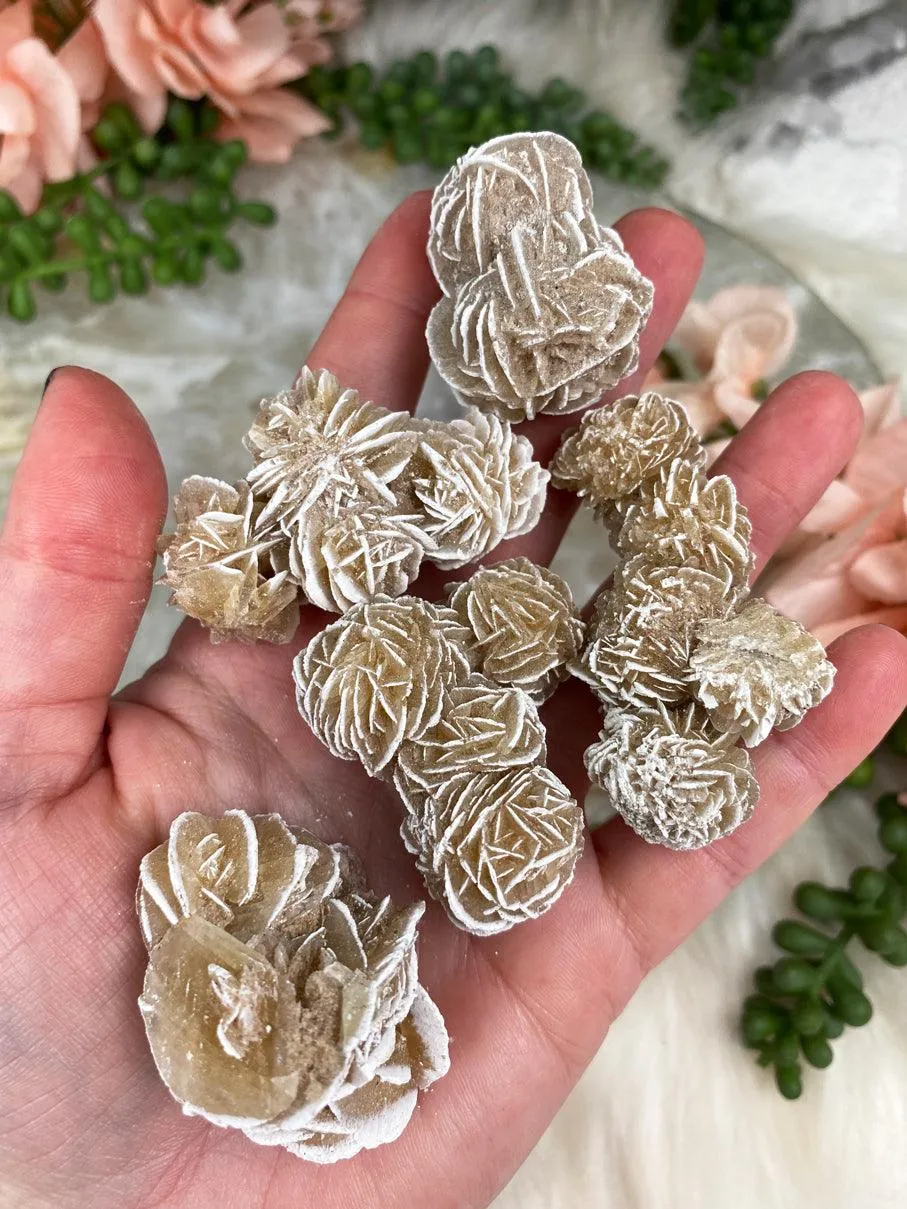 Desert Rose Selenite
