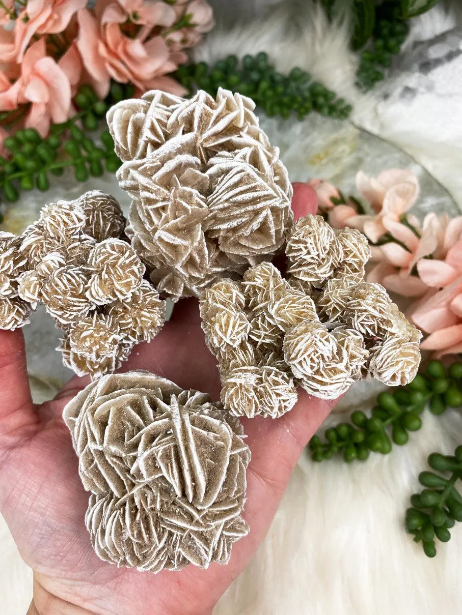 Desert Rose Selenite