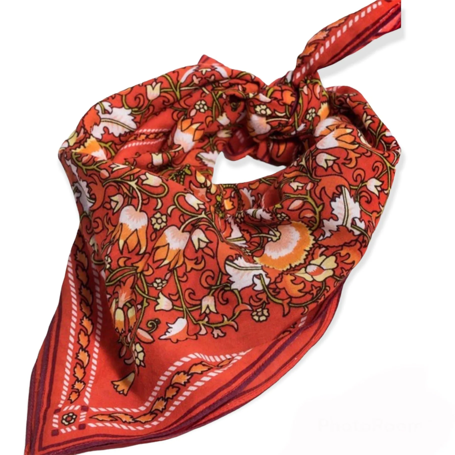 Desert Valley Bandana