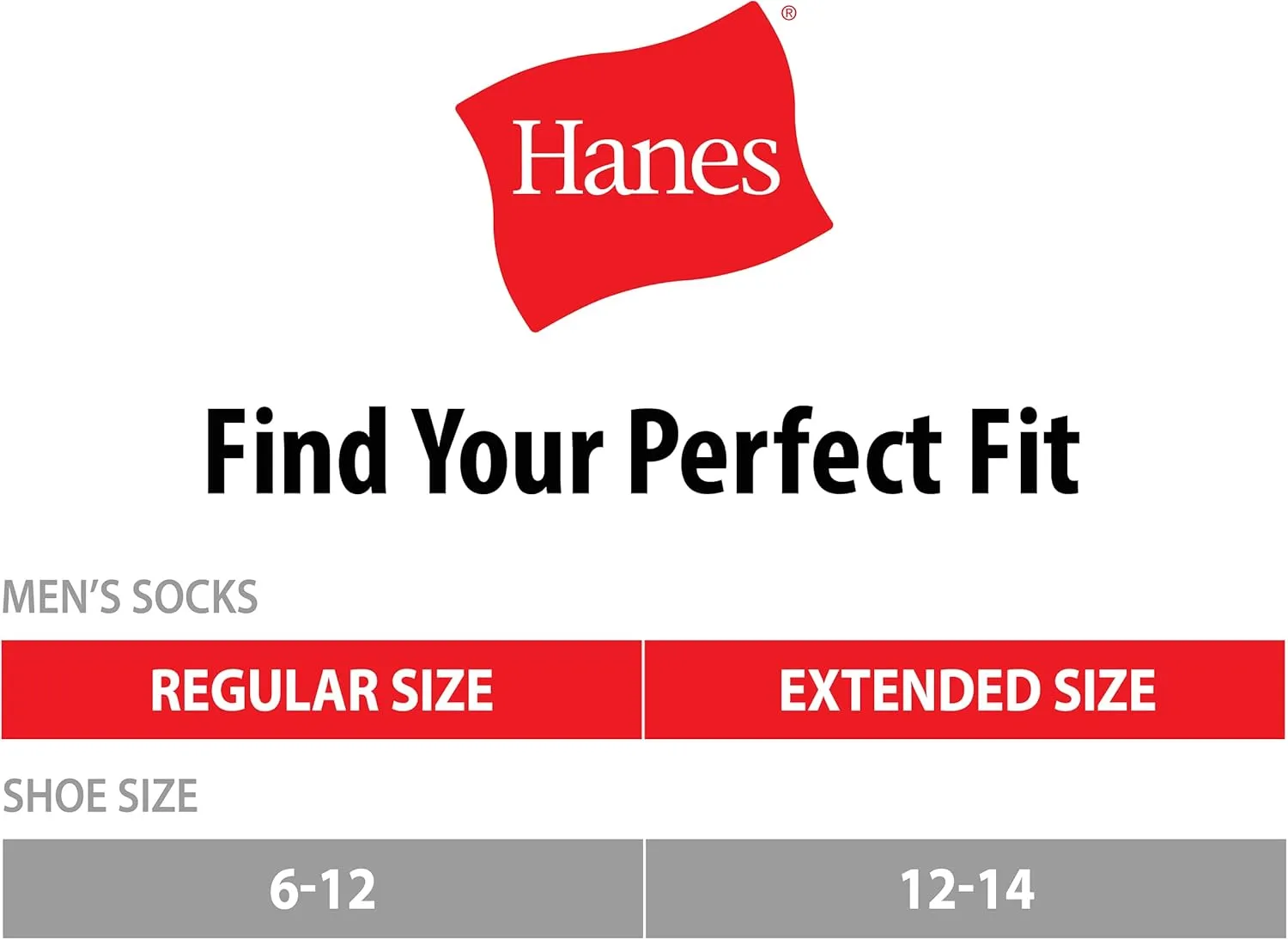 Hanes Men's Double Tough Ankle Socks