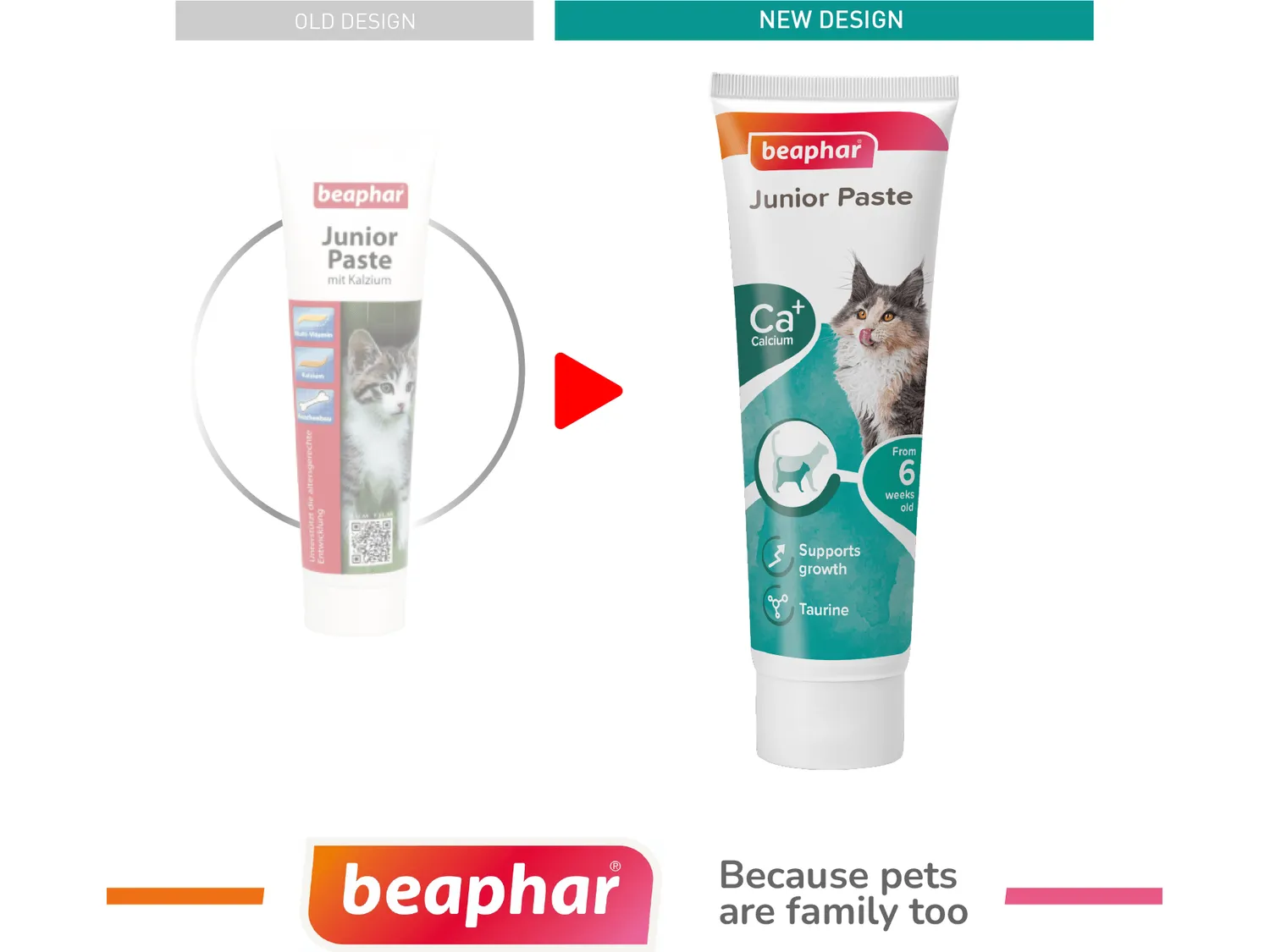 Junior Paste - Cat / 100 g