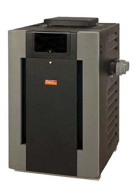 Raypak Digital 266,000 BTU Heater 009225 - Propane